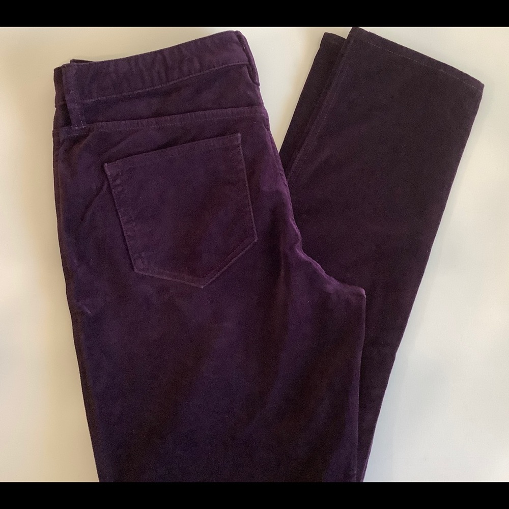 HOST PICK🎉✨NWOT Velvet Pant Deep Purple🎉✨